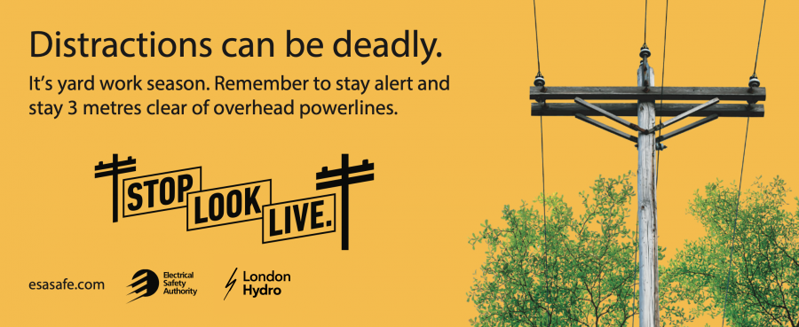 Powerline safety week graphic. Distractions can be deadly. Image of hydro pole and wires running through trees.