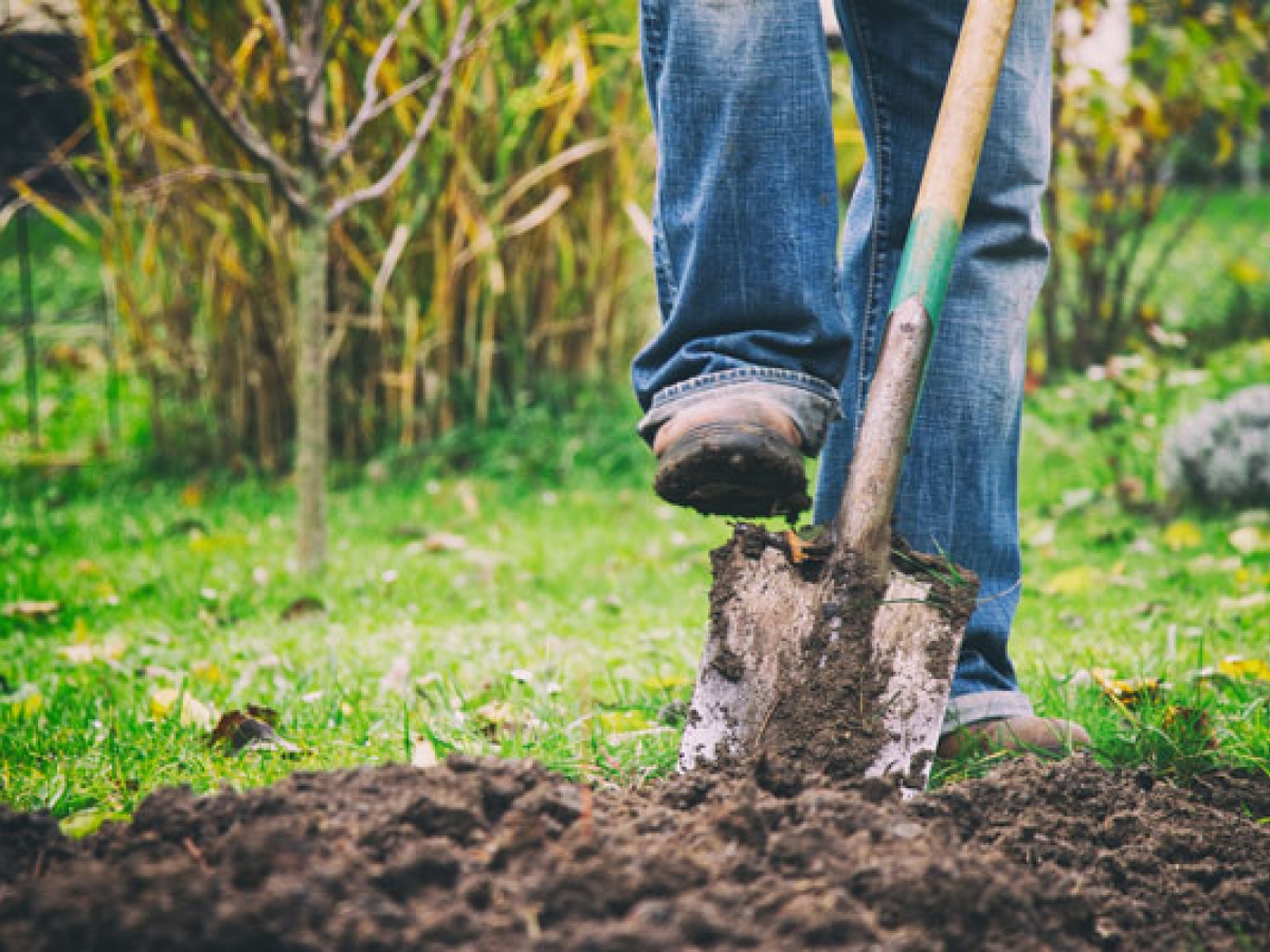 Person digging a hole with a shovel