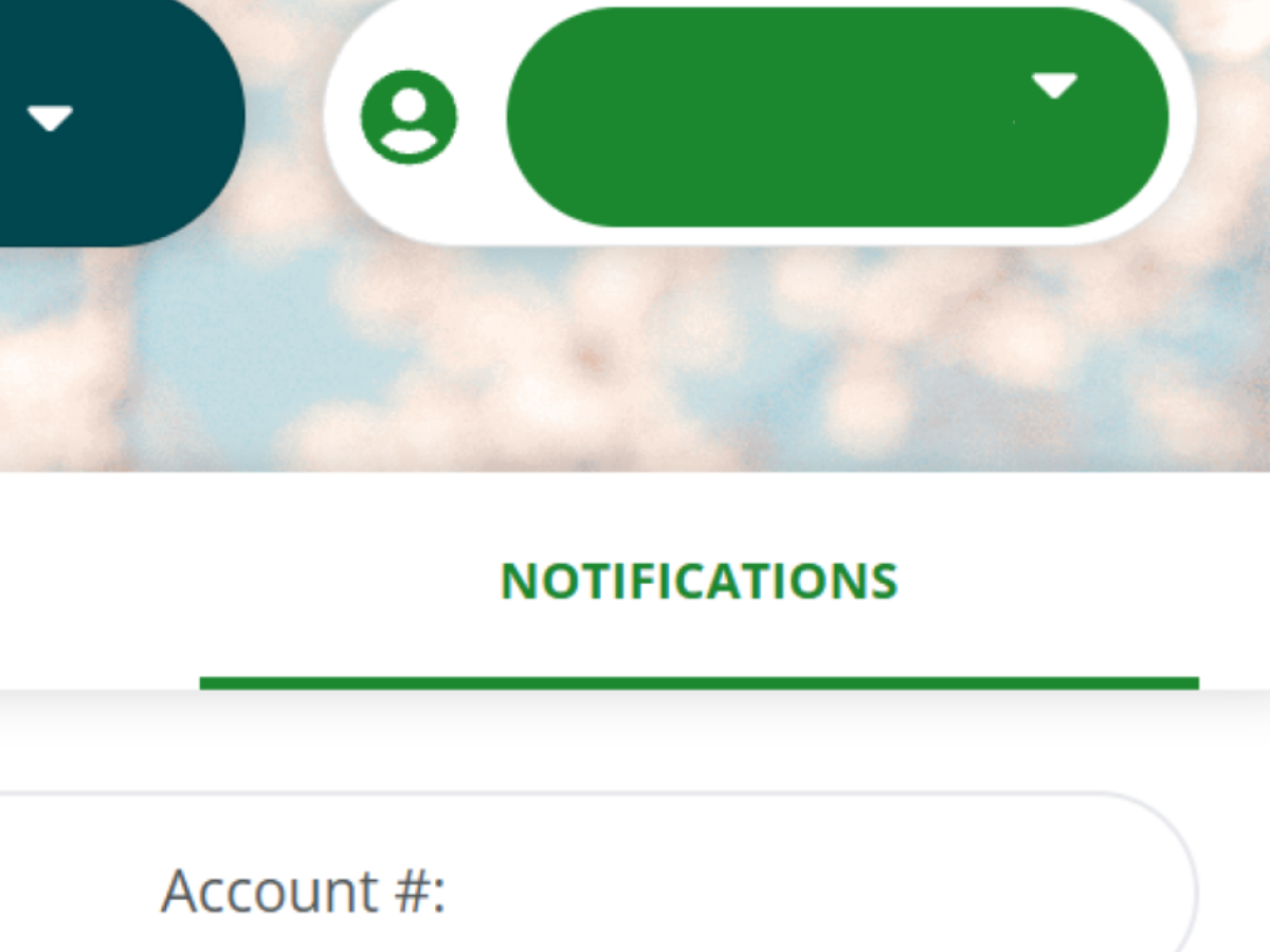 Account Notification Button